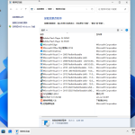 Windows 11 系统 x64 办公专业版 25H2【冰封工作室】