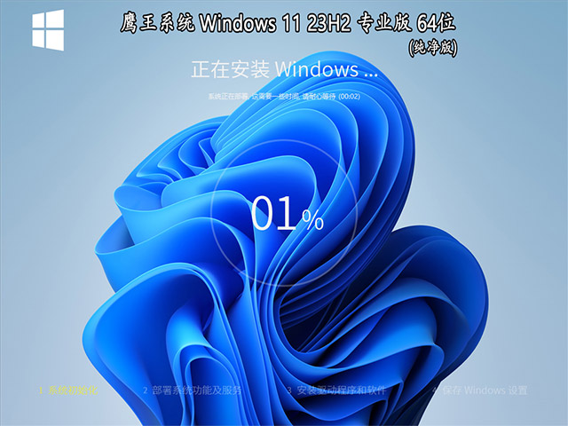 鹰王系统 Windows 11 64位 23H2 专业版