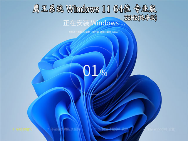 鹰王系统 Windows 11 64位 22H2 专业版